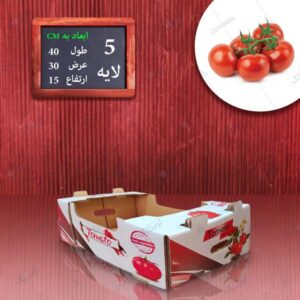کارتن لمینتی گوجه صادراتی طرح عمومی سفید قرمز