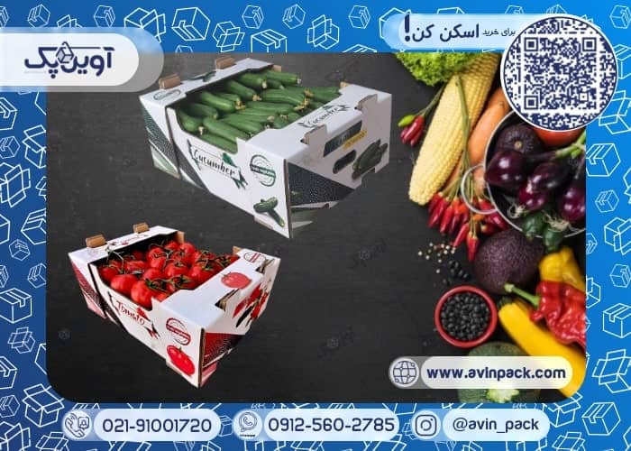 بسته بندی صیفی جات
